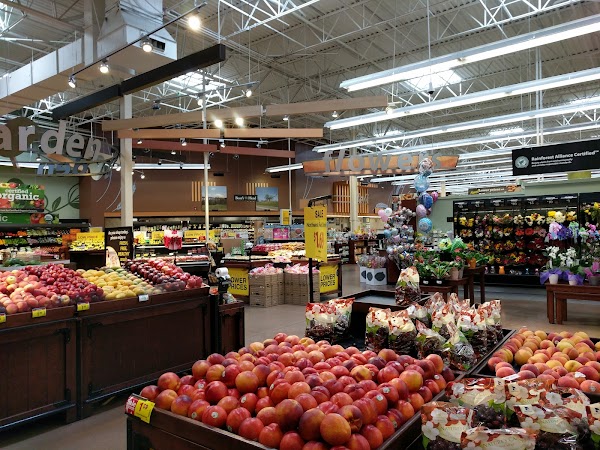 Photo by Big Fat Art Cat