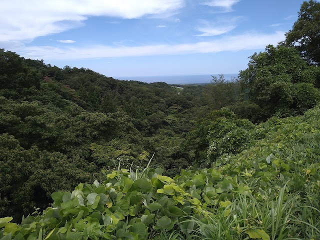 Kanda Golf Club - Photo 9