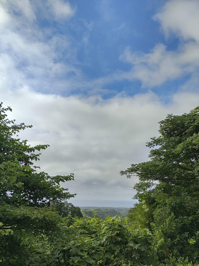 Kanda Golf Club - Photo 8