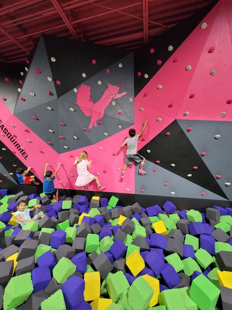 Flying Squirrel Trampoline Park photo 4