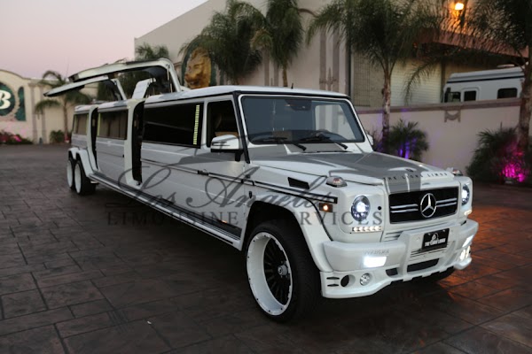 Los Angeles Limousine Services portfolio