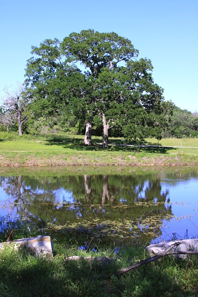 Moody Ranch Outfitters, Inc. - Photo 5