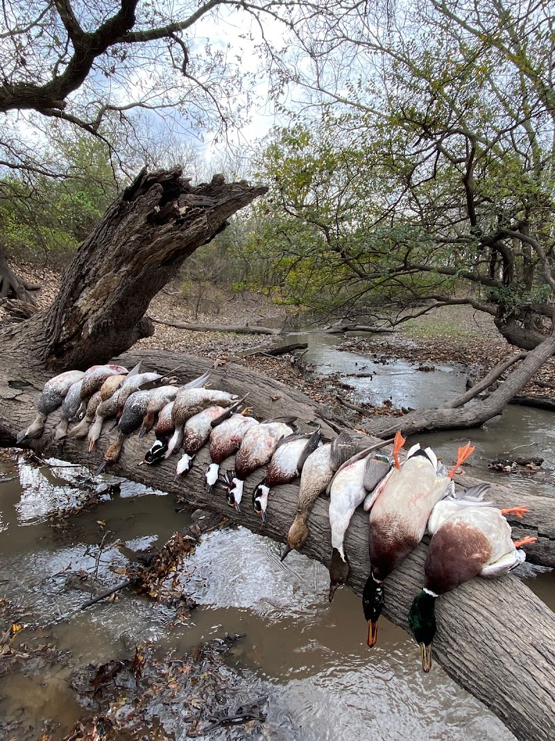 Moody Ranch Outfitters, Inc. - Photo 1