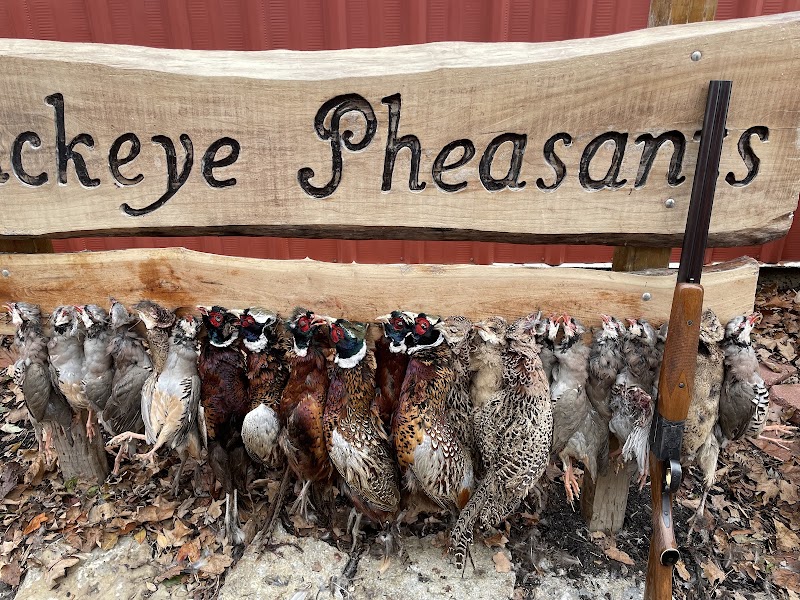 Pheasants Reserve LLC photo