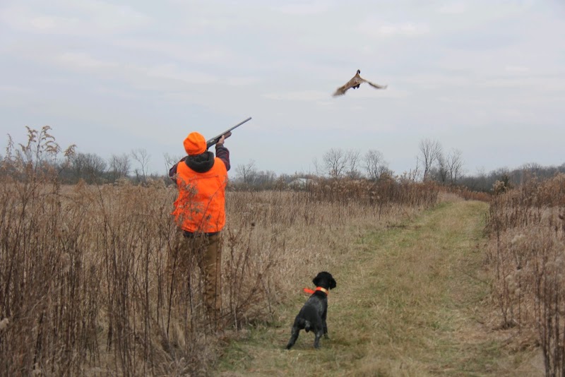 Pheasants Reserve LLC photo