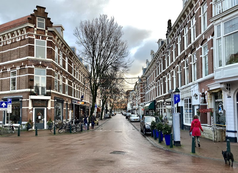 Reinkenstraat Duinoord