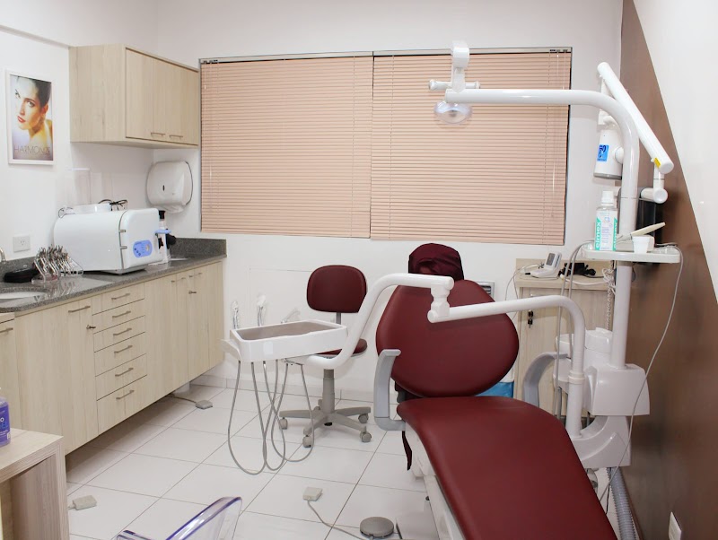 Dra. Andrea Rocha - Especialista em Ortodontia, Endodontia e Toxina Botulínica - foto 2