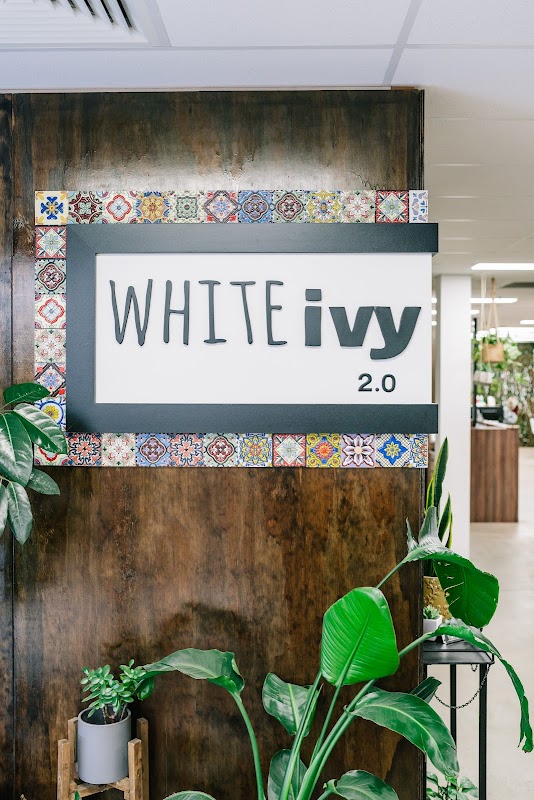 White Ivy 2.0 photo 1