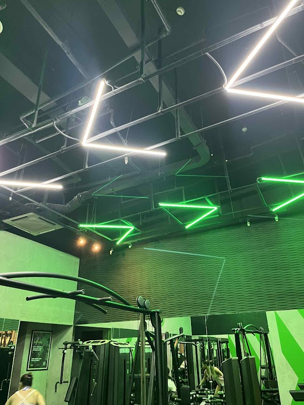 GoGym Plus NEO