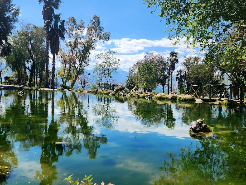 Mehmet Manavoğlu Parkı fotoğraf 1