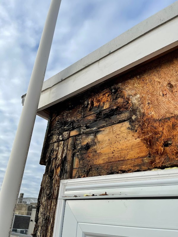Anvil Remediation — photo