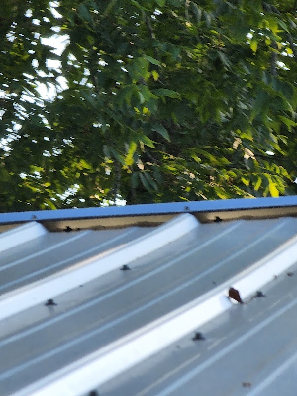 Supreme Roof Maintenance & Repair LLC project 4