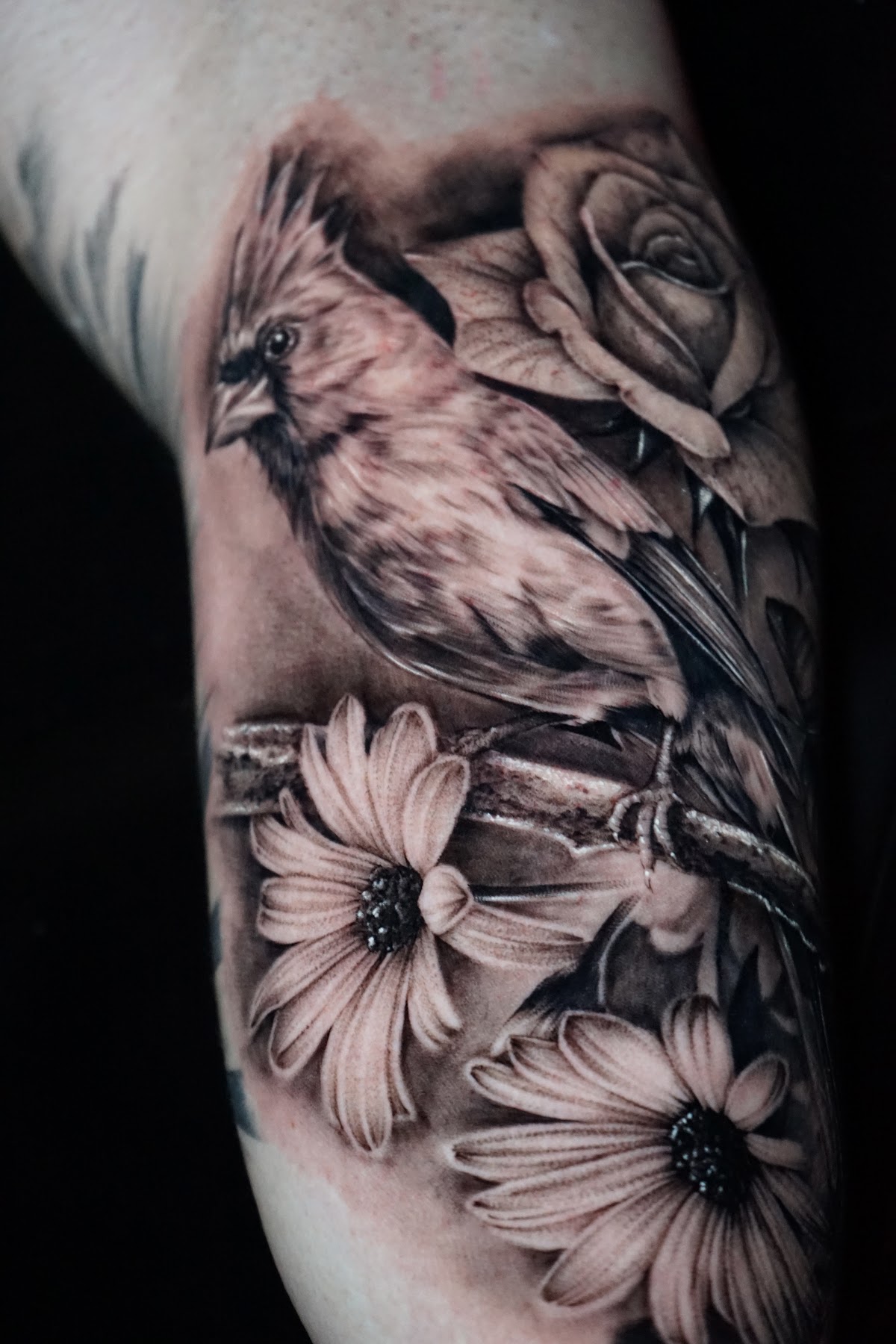 Klypso Tattoo Studio — tattoo studio near Town N Country