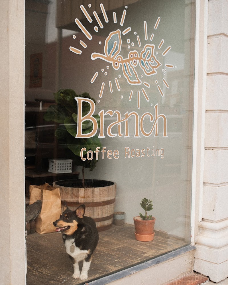 Branch Coffee Bar photo 3
