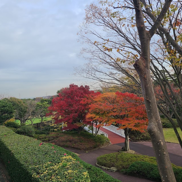 Isogo Country Club - Photo 8