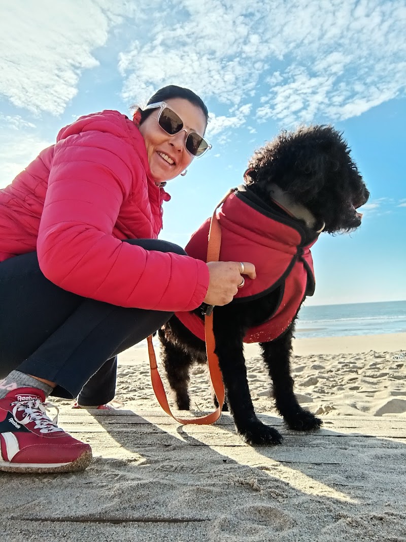 Referencia Veterinaria Sevilla