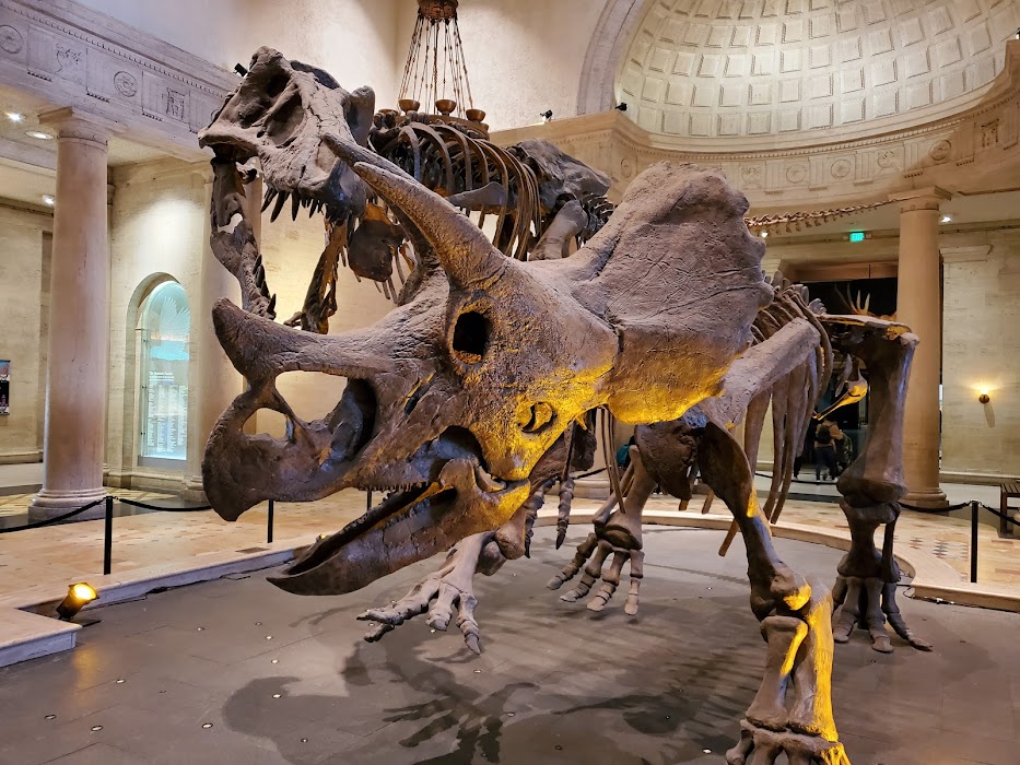 Natural History Museum of Los Angeles County fotoğraf 1