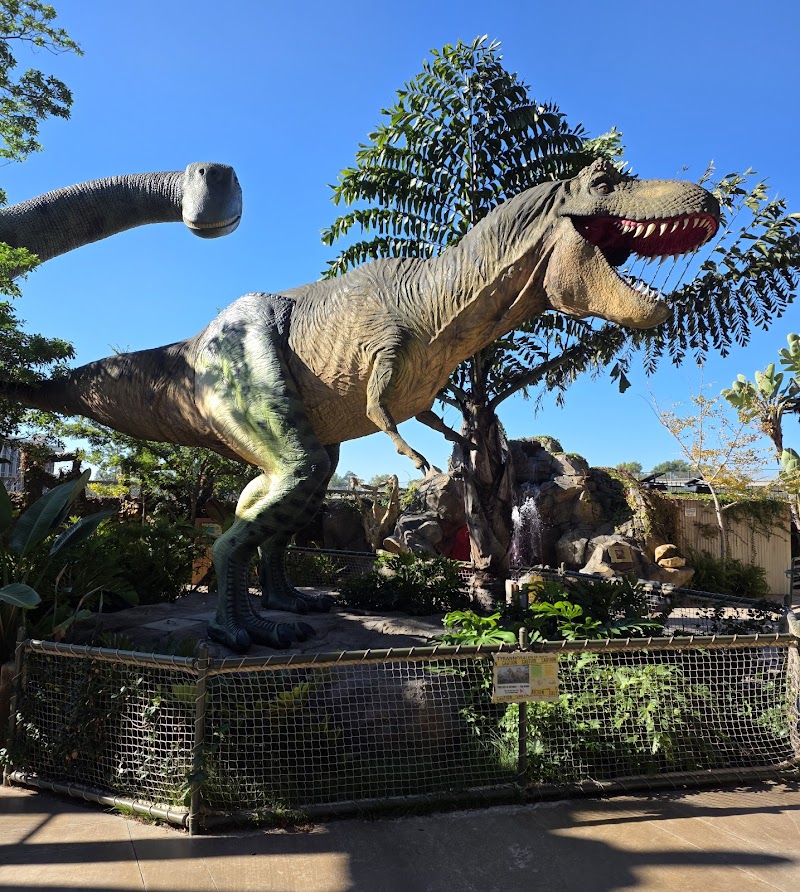 Discovery Cube photo 4