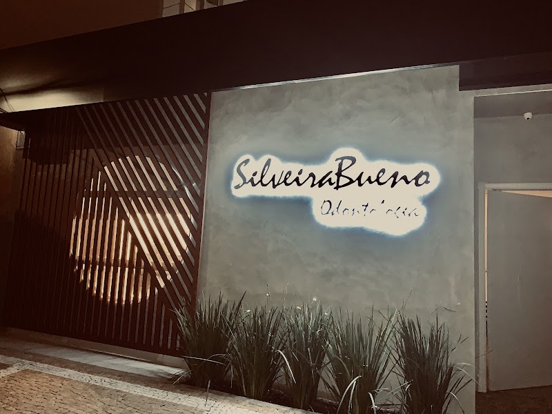 Dr. Carlos Eduardo da Silveira Bueno - foto 4