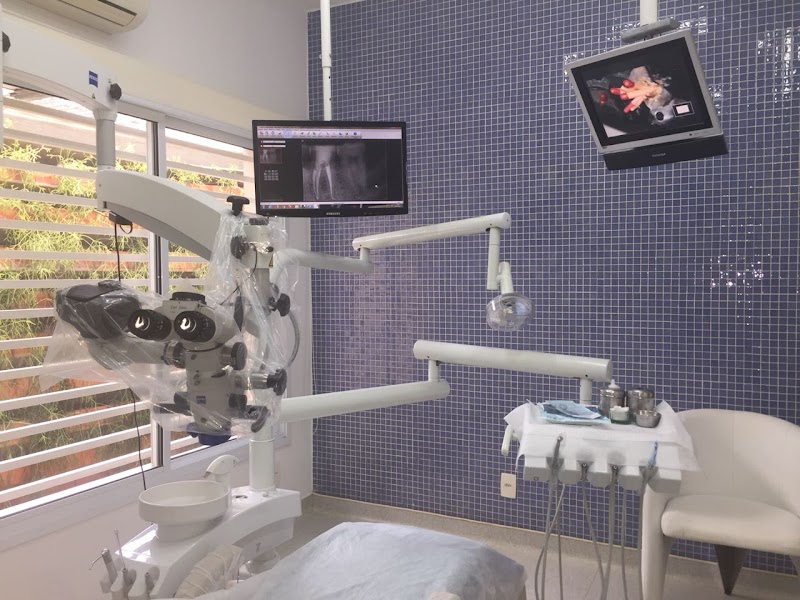 Dr. Carlos Eduardo da Silveira Bueno - foto 2