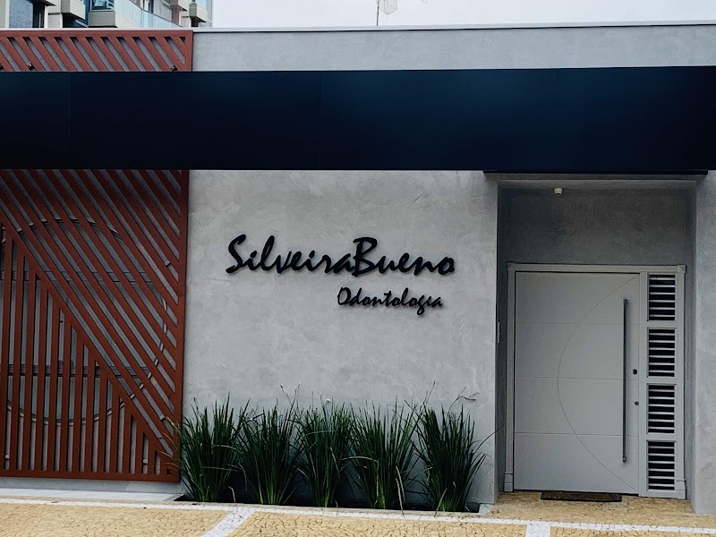 Dr. Carlos Eduardo da Silveira Bueno - foto 3