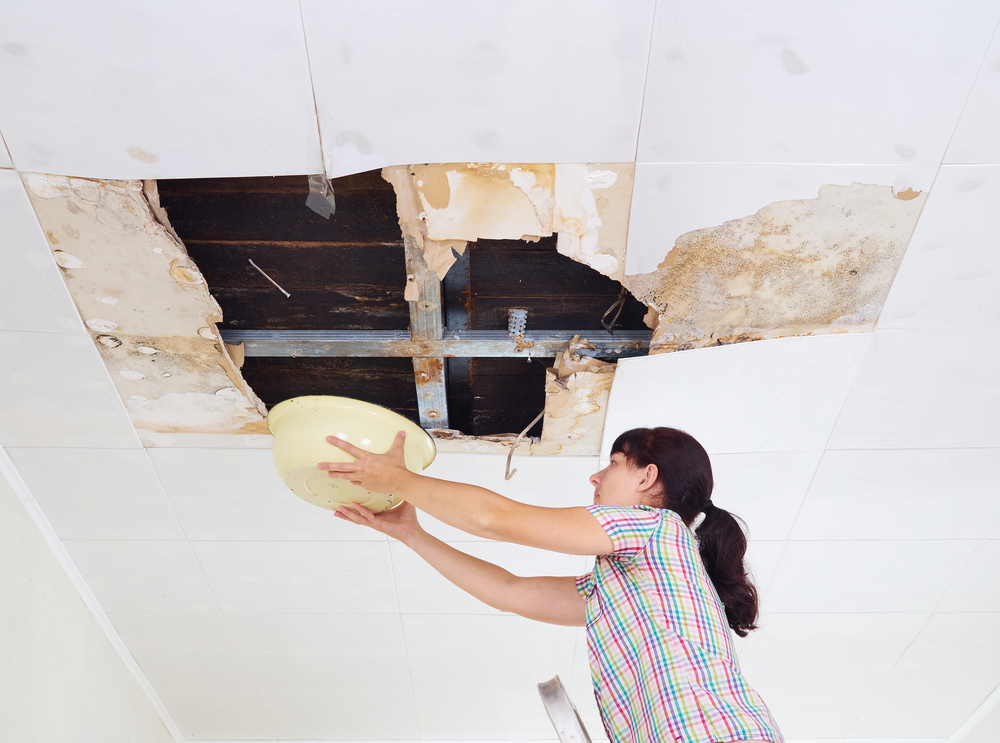 Phoenix Water Damage Repair — photo