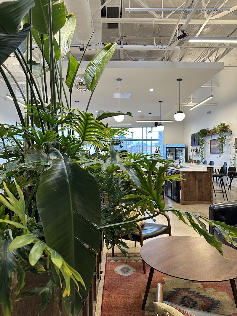 Wayward Coffee Co photo 4