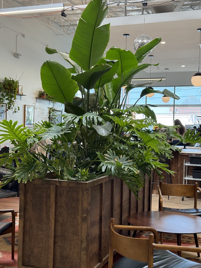 Wayward Coffee Co photo 4