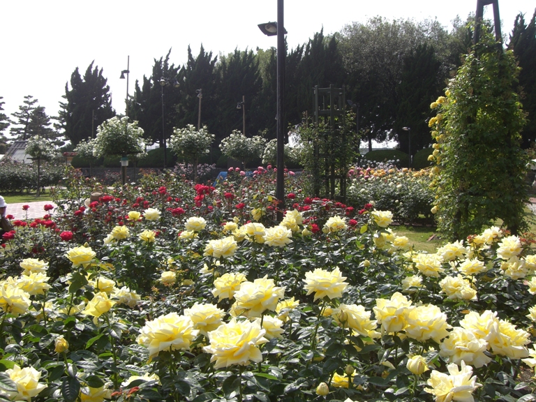 大阪府営浜寺公園