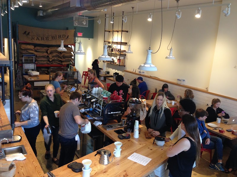 Rare Bird Coffee Roasters photo 1
