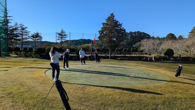 Golf Plaza Sunrise - Photo 6