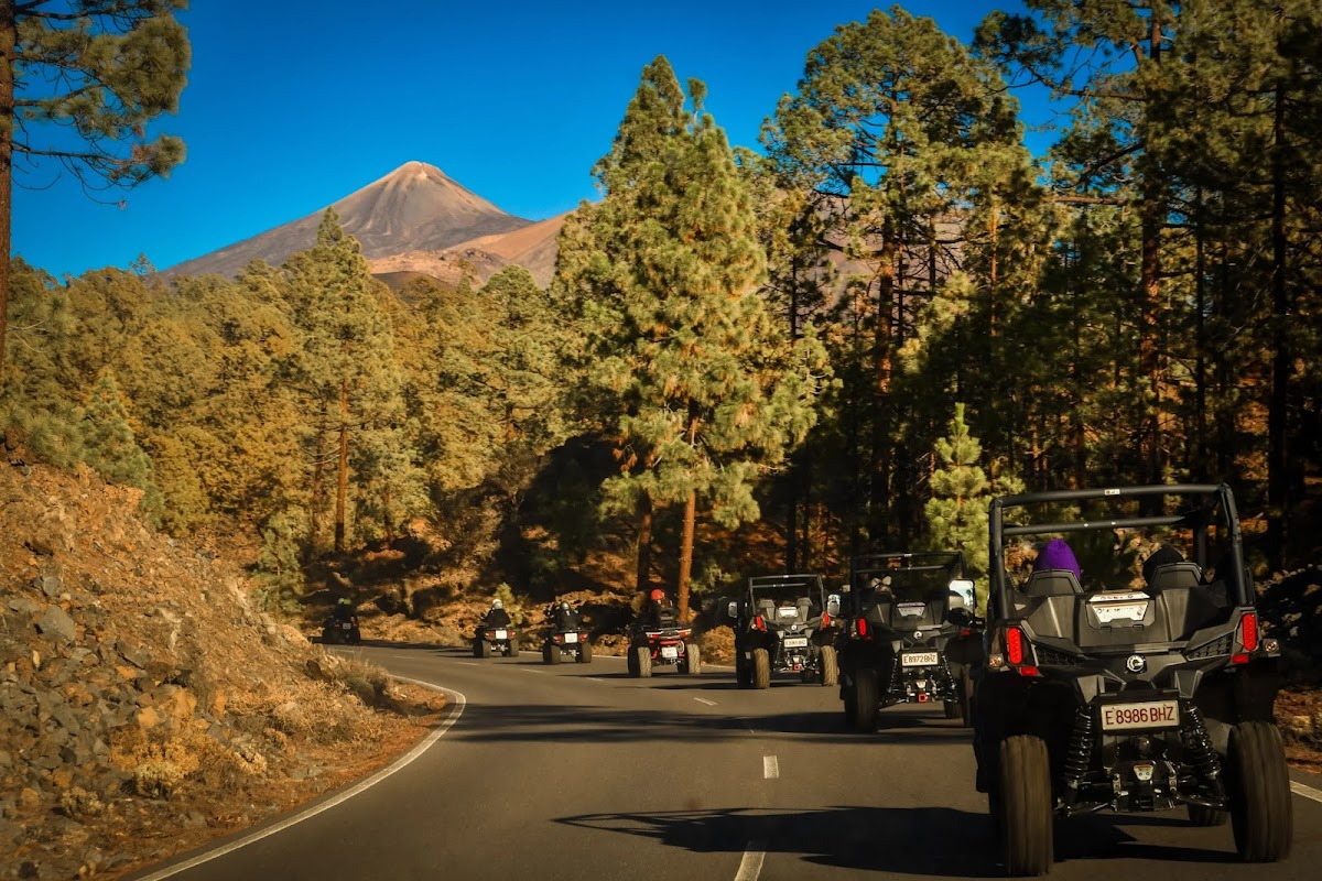 Volcano Tours in Golf del Sur