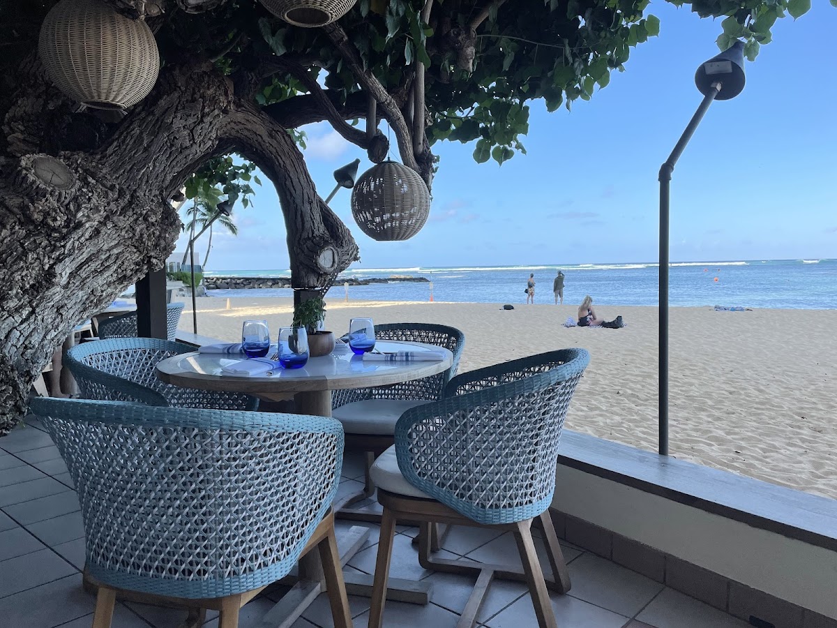 Hau Tree in honolulu