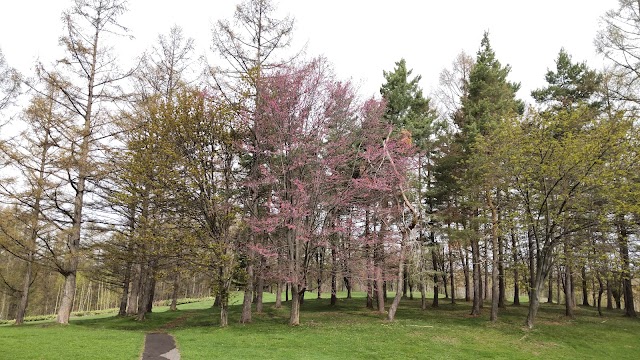 Daisetsuzan Country Club - Photo 7