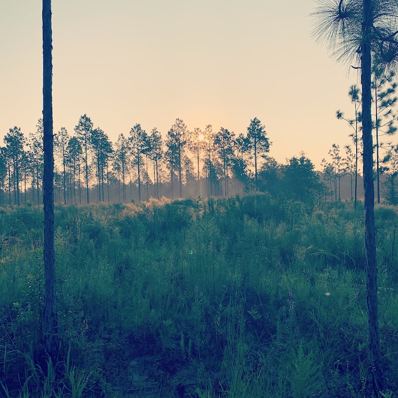 Hardscrabble Plantation - Photo 4