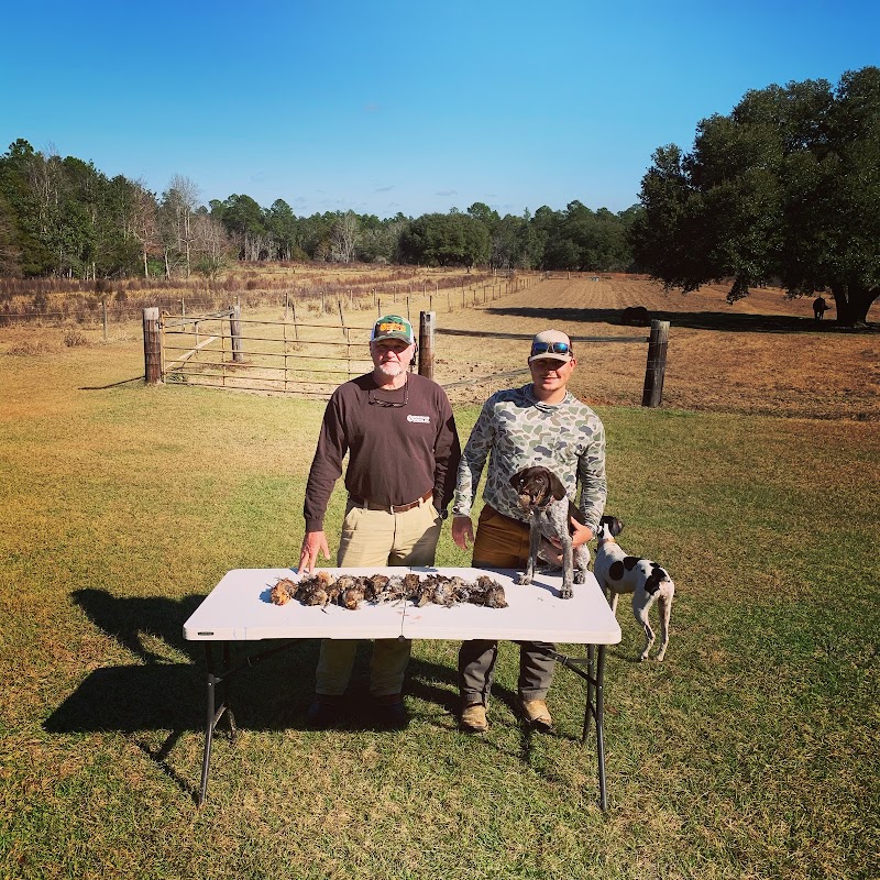 Hardscrabble Plantation - Photo 1