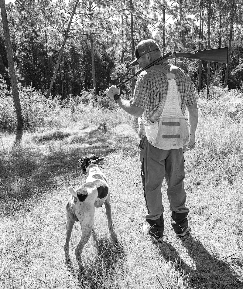 Hardscrabble Plantation - Photo 5