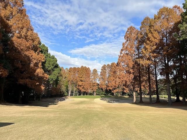 Three Hundred Club - Photo 4