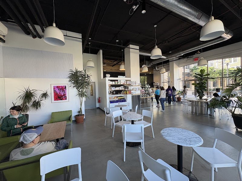 Southdown Coffee - Patchogue photo 4