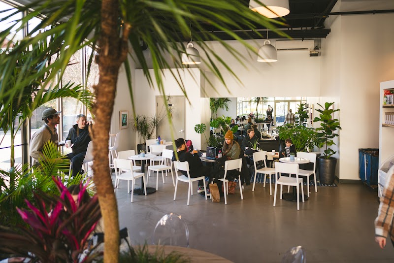 Southdown Coffee - Patchogue photo 1