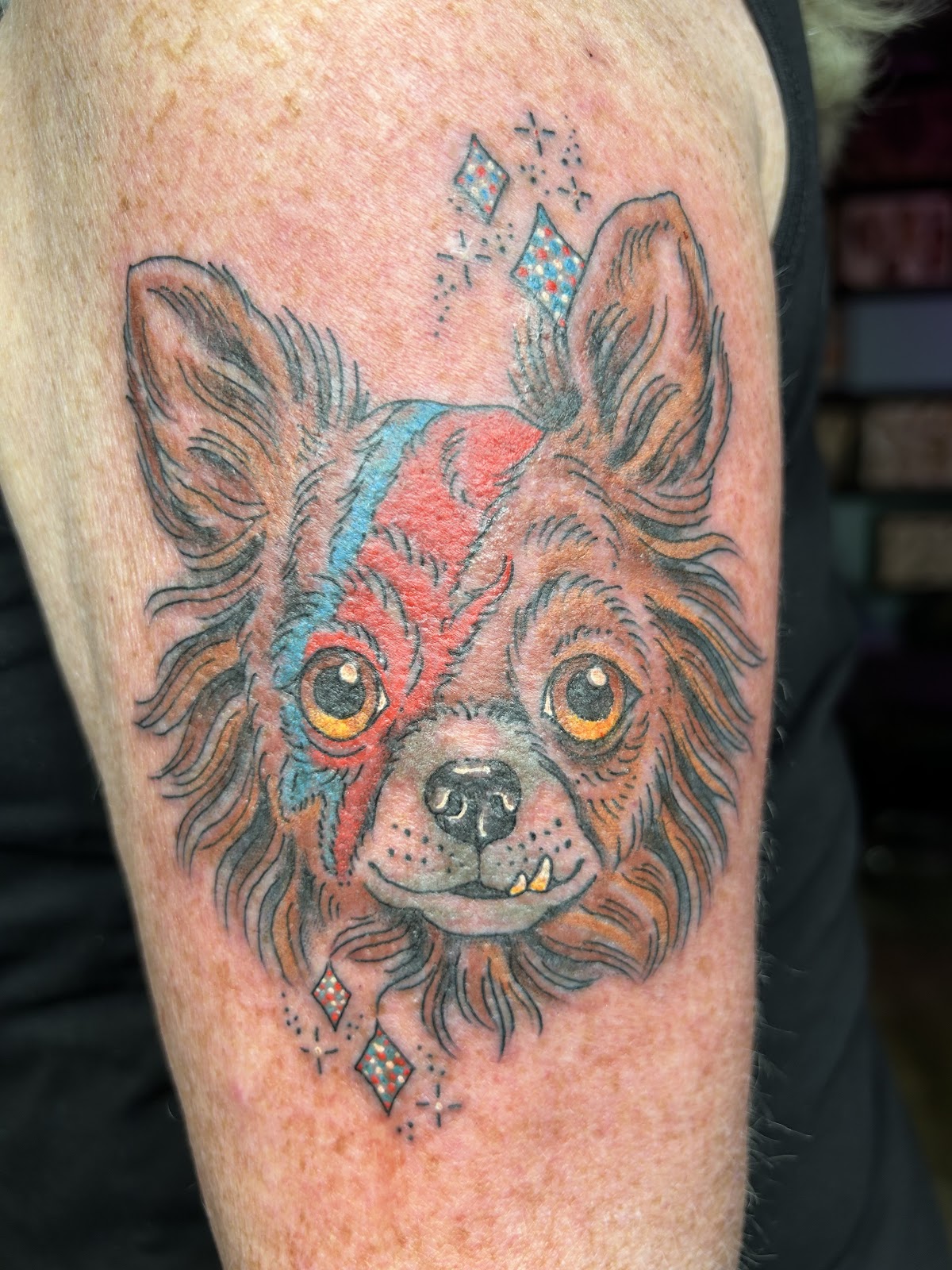 Black Tooth Tattoo — tattoo studio near Akron