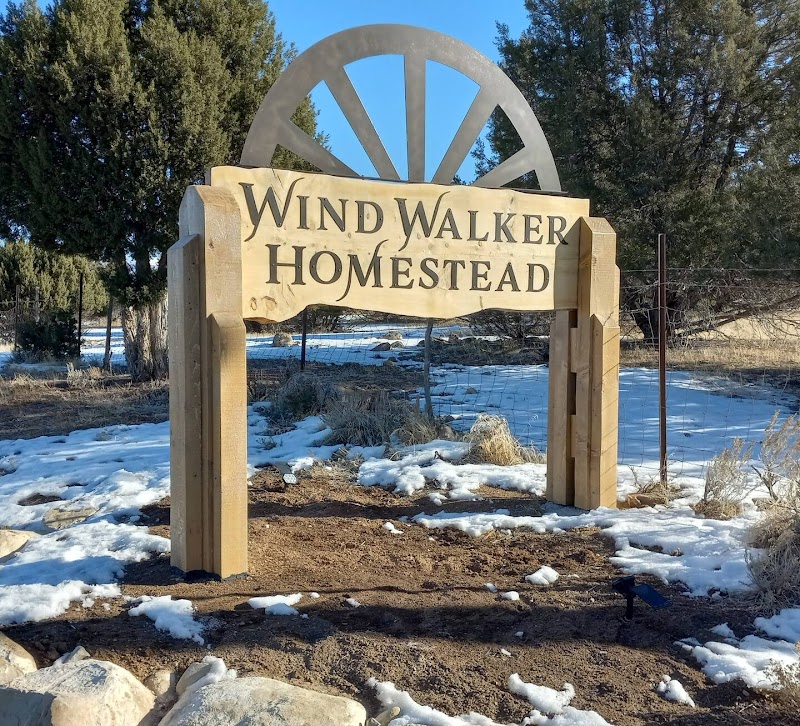 Wind Walker Homestead - Photo 5