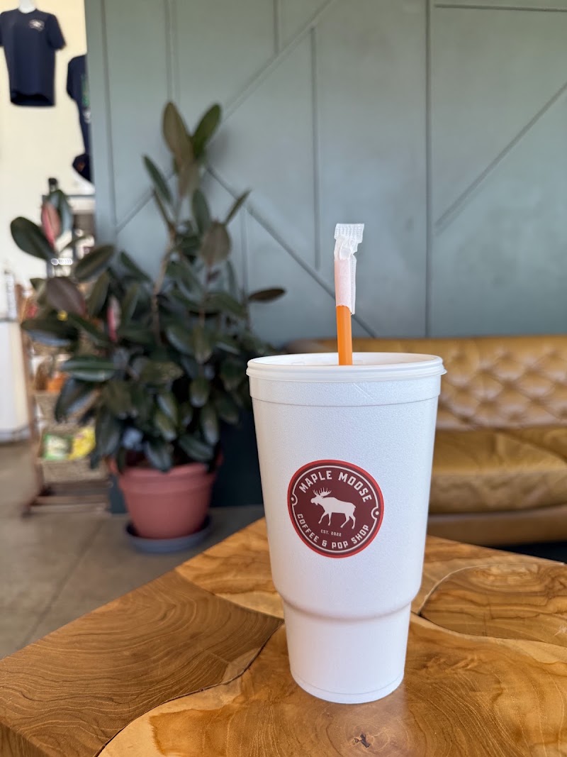 Maple Moose Coffee and Pop Shop photo 2