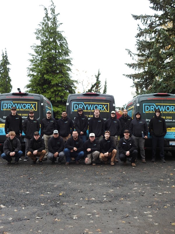 Dryworx Water Damage Restoration — photo