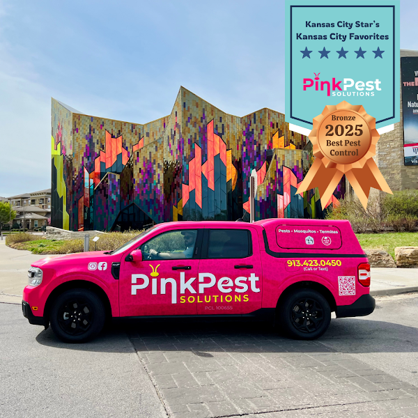 Pink Pest Solutions