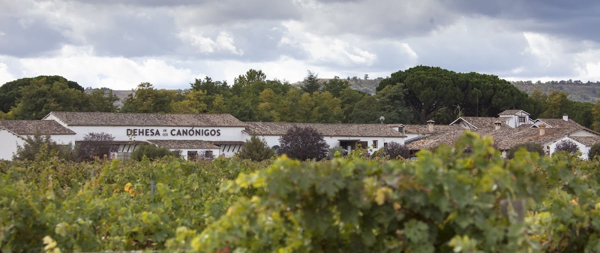 BODEGA DEHESA Canons