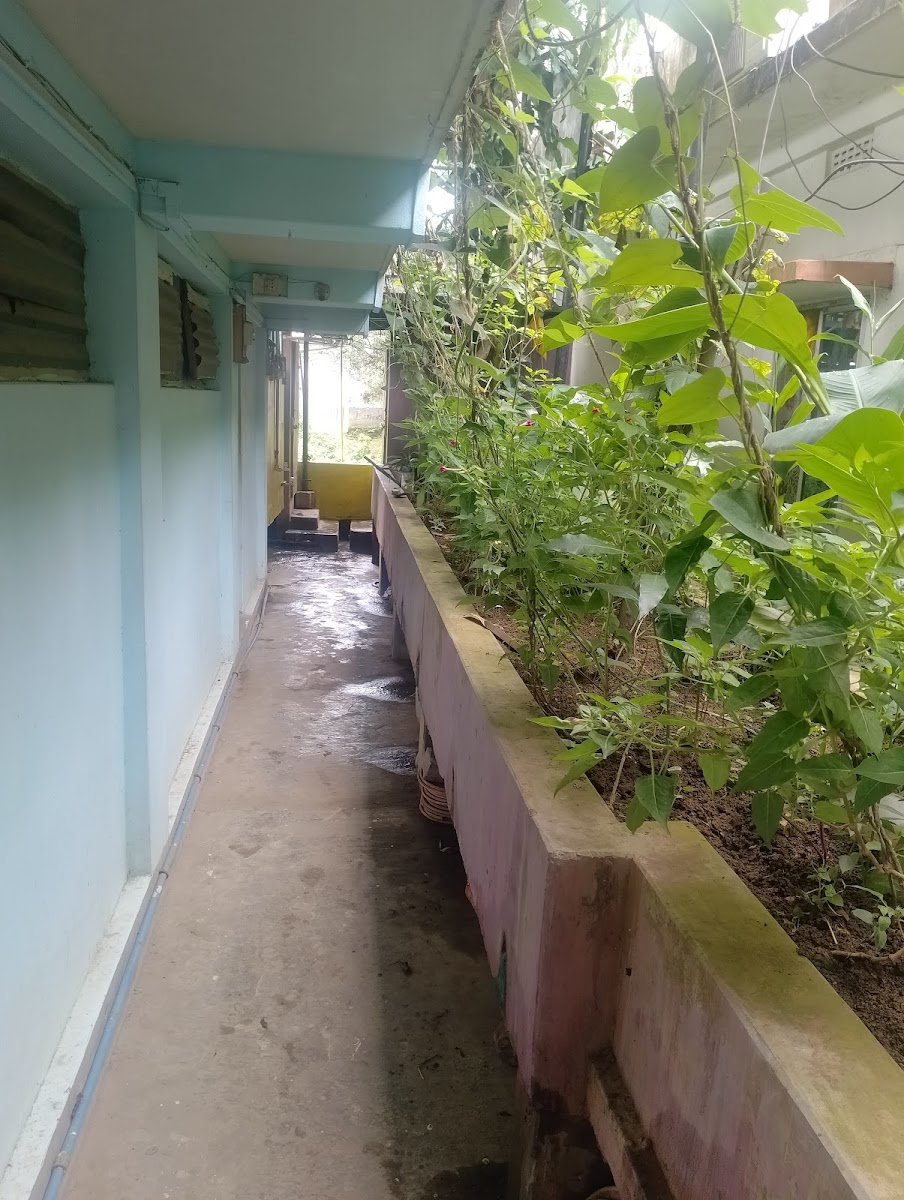 MANIK BHANDER- PG and Room rentals photo 3