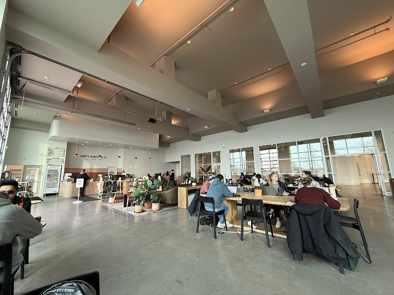 Happy Monday & Co photo 4