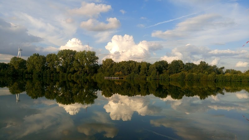 De Paauwse plas