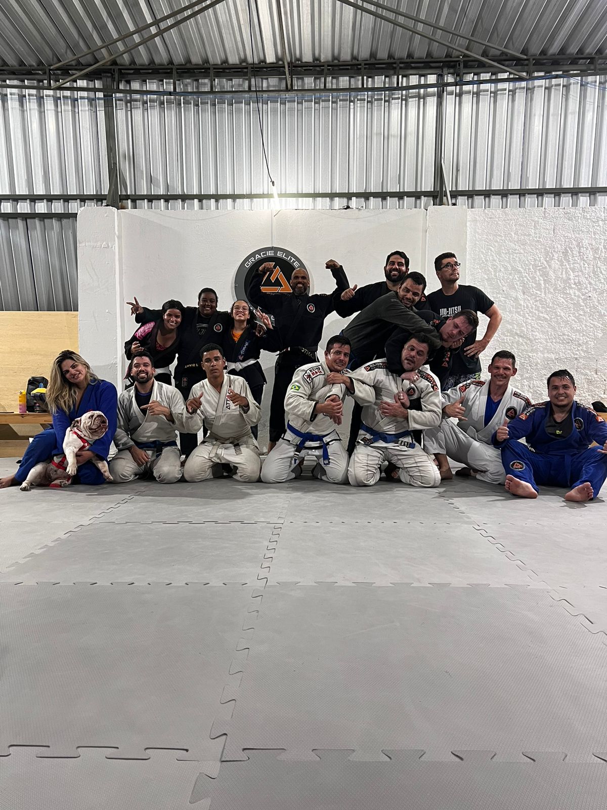 Rilion Gracie Campo Grande - Foto 1